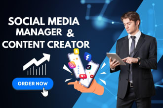 maximize your brand instagram social media marketing, strategy,expert management