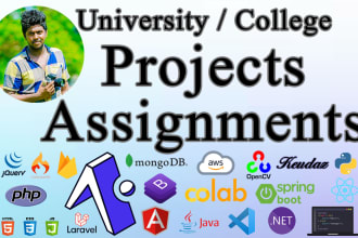 do all programming react mysql java python flutter android php assignment