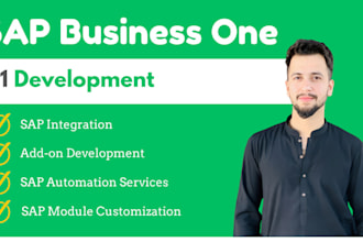be do sap b1 addon integration