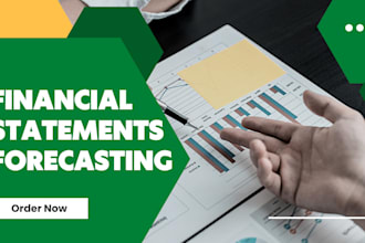 create professional financial statements forecasting and projections for you