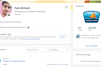 be your salesforce developer