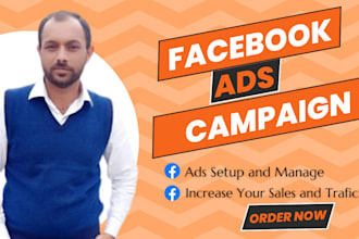manage facebook ads campaign, social media ads campaigns