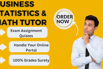 your business statistics and math tutor