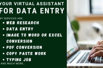 be virtual assistant for data entry, web research and typing job