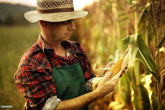 write maize farming business plan for startups