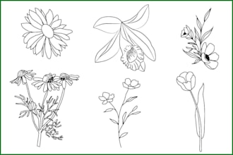 draw botanical illustration of flowers, sketch plants, line art