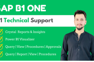 do technical support for sap business one