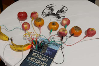 do raspberry pi project