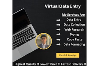 do data entry, data mining and admin support