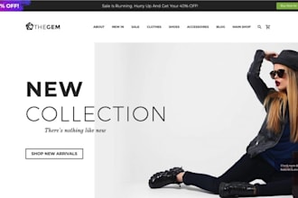 do a professional wordpress website and ecommerce website