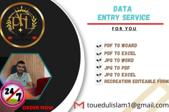do excel data entry, pdf to word, pdf to excel data entry
