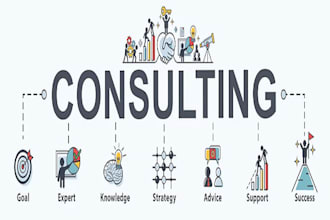 do consultation for your website and mobile application