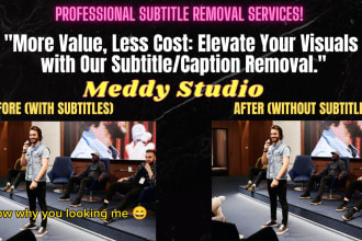 skillfully remove subtitles from your videos