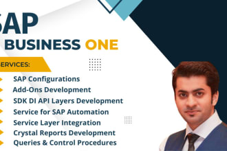 provide sap b1 technical support and consultancy