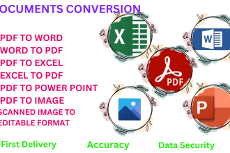 do PDF to word, excel, retype job, convert scan PDF to word