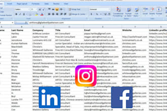 provide emails and leads from instagram, ig, linkedin, fb