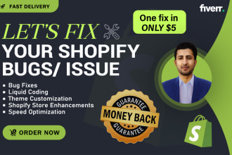 shopify custom coding or bug fixing and customization