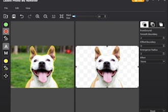 background removal, remove objects