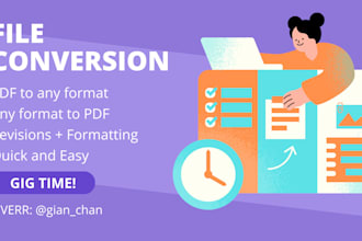 provide file conversion assistance