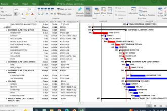 schedule gantt chart, wbs, network diagrams using microsoft project
