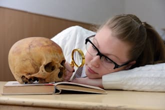 write essays on anthropology archaeology and history