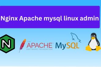 setup your nginx apache mysql and linux servers