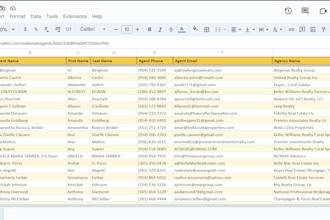 scrape real estate agents with emails and contacts