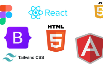 web dev pro angular nodejs custom web solutions