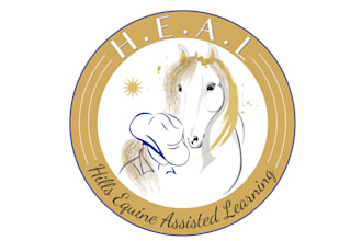 provide custom different elegant horse logo design