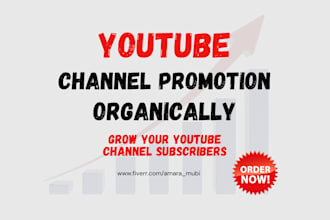 do organic youtube promotion of your channel