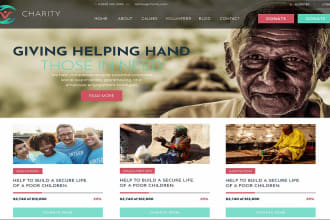 develop a professional nonprofit, charity and fundraising wordpress website