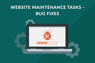 maintain and fix bugs or errors in your existing website or server
