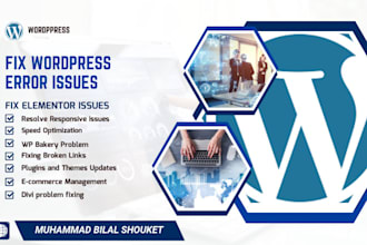 resolve wordpress problems, bugs, errors, CSS, and wp help