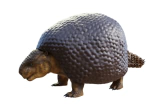 create a 3d creature of your choice