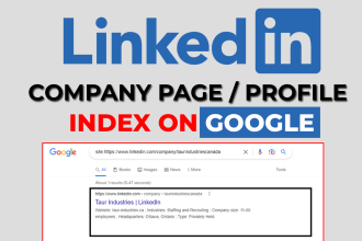 index your linkedin profile or company page