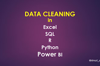do expert data cleaning and transformation for analysis and machine learning