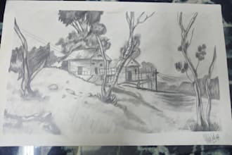 teach you how to sketch