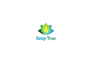 make a unique minimalist logo design