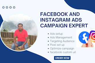 set up facebook or instagram and whatsapp ads for sales and leads