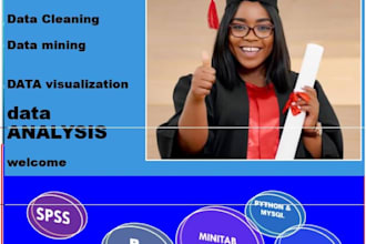offer you data analysis using excel, python, jamovi spss