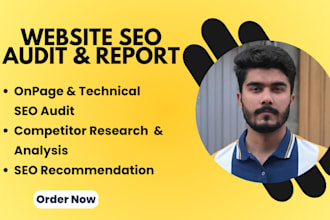 do website SEO audit fix errors and competitor site analysis
