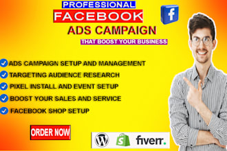 setup and run facebook ads campaign, fb marketing,fb advertising