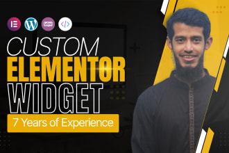 be your elementor expert to develop elementor widget, wordpress plugin