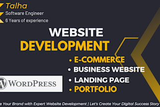 develop professional business website development