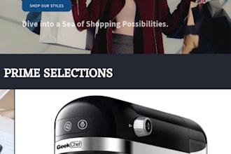 built or customize shopify store