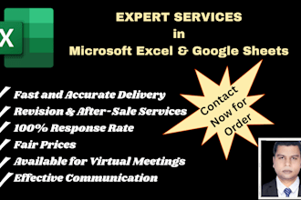 be your ms excel expert for advanced data solutions