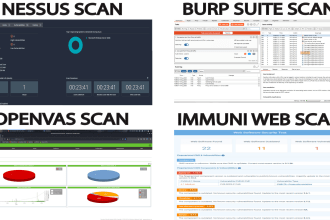 do vulnerability assessment and security testing of website