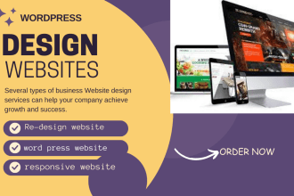 designe or redesign wordpress website and web development