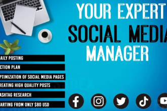 be your social media marketing manager and content creator
