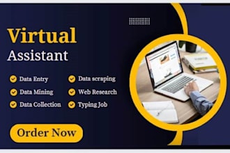 do excellent data entry, data collection, web research and typing job